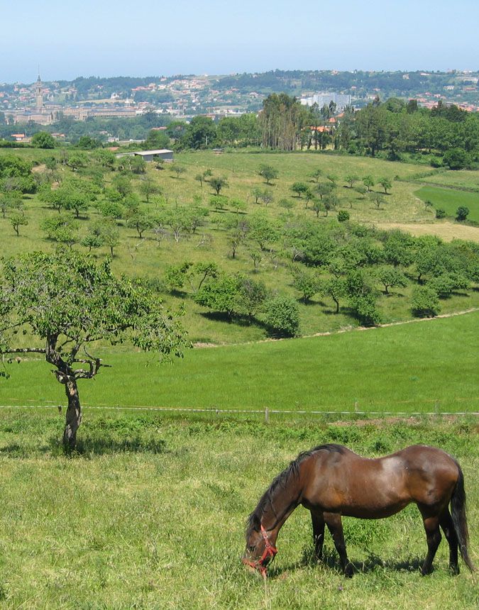 Una ruta circular por la zona rural de Gijón: Santurio