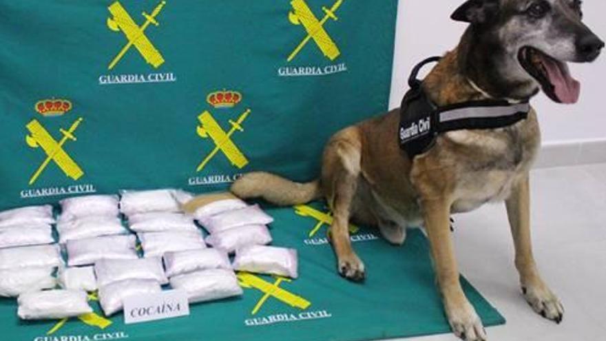 El perro antidroga &#039;Barry&#039; junto a los seis kilos de cocaína intervenidos en el puerto.