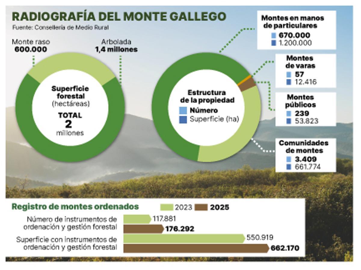 Radiografía del monte gallego.