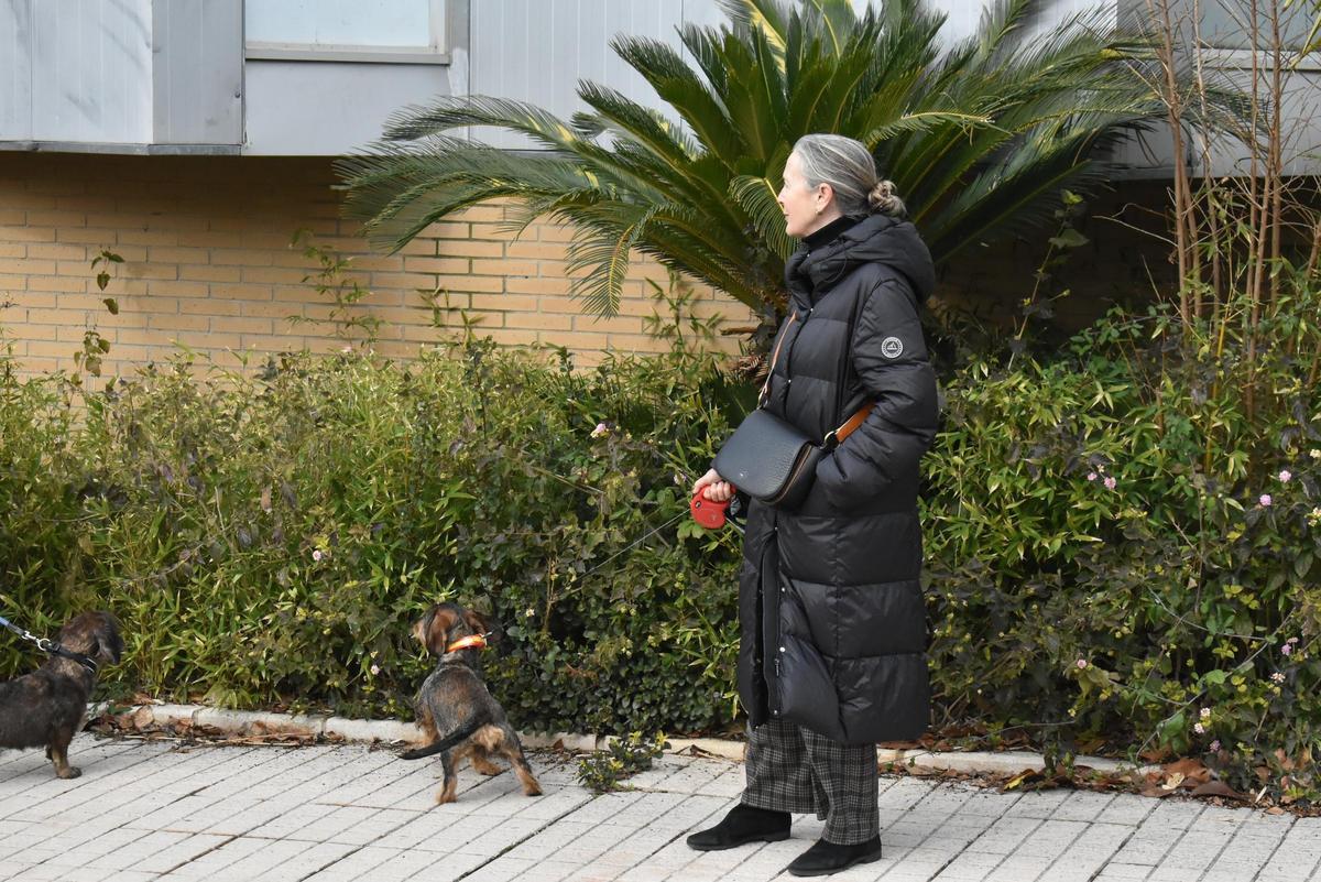 Fotogalería | Así ha sido la celebración de San Antón en el colegio San Antonio de Cáceres