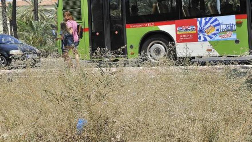 Dos imágenes de suciedad en el barrio y el presidente de los vecinos con las denuncias registradas.