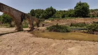 Nou atractiu natural: Alfondeguilla crea un llac d'aigua dolça amb plantes aquàtiques en el paratge del Pont de l’Aigua