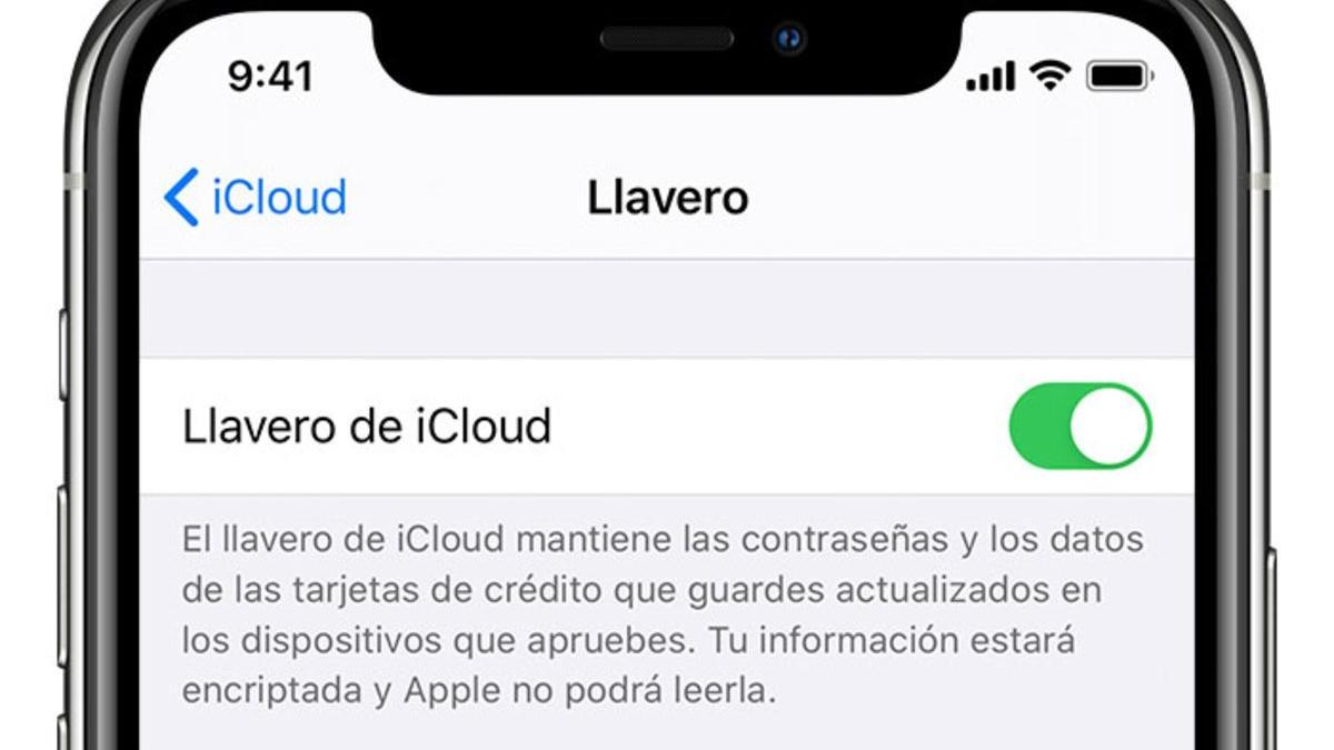 En iOS 14 ahora es más seguro guardar contraseñas con iCloud