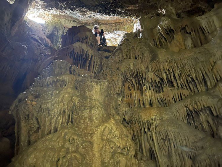 Las fotos de la misión francesa que ha descubierto cientos de inscripciones de soldados de Napoleón en una cueva de Cabrera