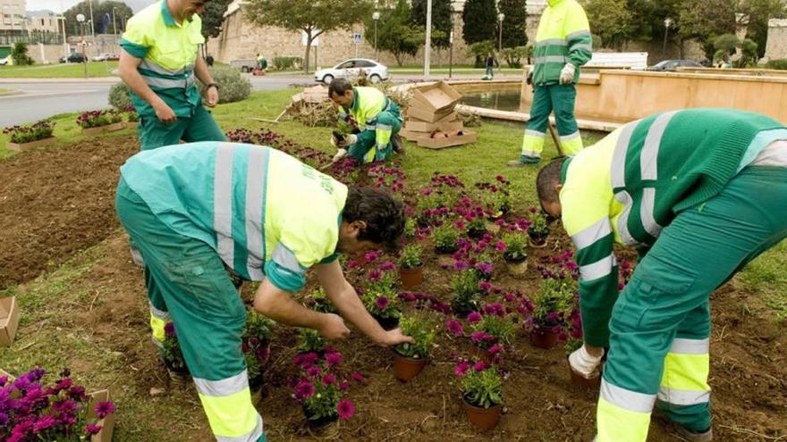 El servicio de Jardines sale a contratación por 12 millones con cuatro años de retraso