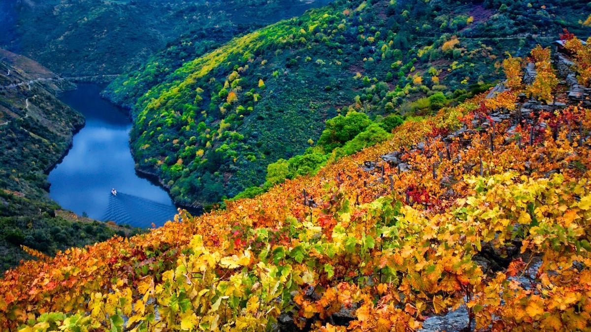 Un Paseo De Ensue o Por La Sagrada Y Desconocida Ribeira Sacra Viajar Un Paseo De Ensue o Por La Sagrada Y Desconocida Ribeira Sacra Viajar