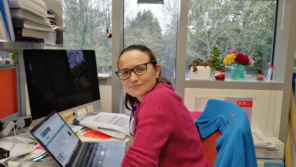 La científica villenense Nuria Ferrándiz en el laboratorio de la Universidad de Warwick, en Reino Unido, donde investiga sobre el cáncer.