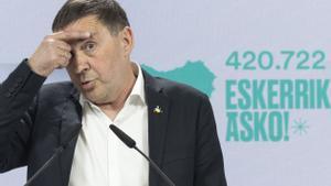 Otegi garantiza que un pacto PNV-PSE no influirá en su relación con el Gobierno central