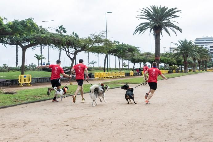 La Doggie Race, vista por José Fco. Fernández Belda