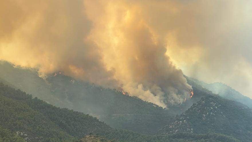 Vídeo: incendio forestal en la Vall d'Uixó