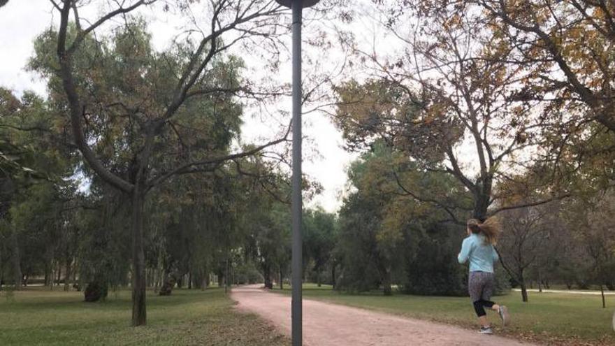 Mejoras en la illuminación con nuevas farolas.