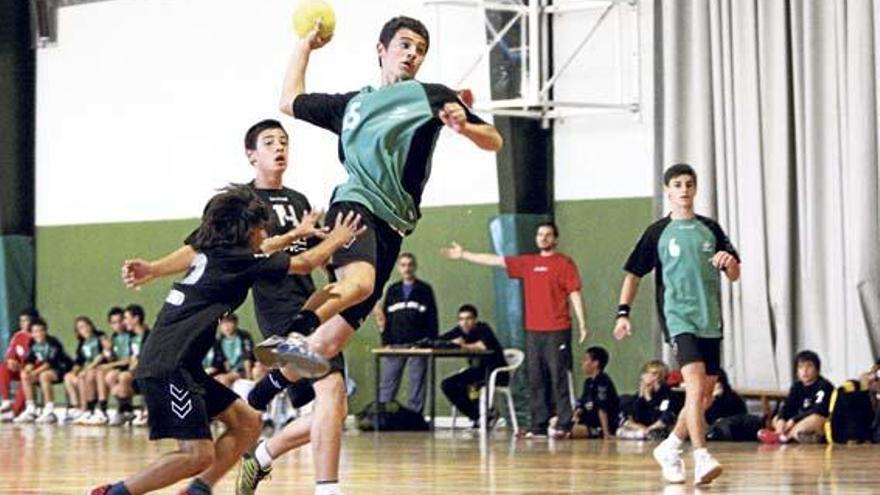 Mit intensiver Jugendarbeit will der Verband den Handball auf Mallorca wieder voranbringen.