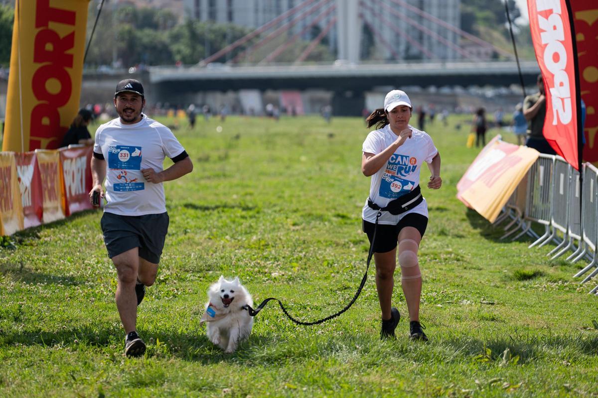Carrera Can We Run 2025