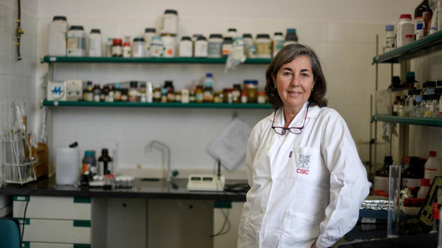 María Luisa Coderch | Institut de Química Avançada de Catalunya
