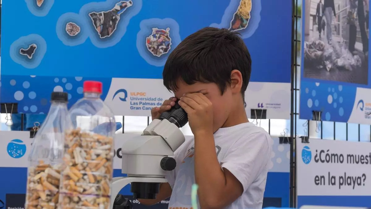 La investigación de la ULPGC pasa del laboratorio al acuario Poema del Mar con una feria científica que acerca los proyectos científicos a la ciudadanía grancanaria