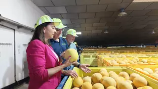 La producción de melón crece un 8% en la Región y se espera alcanzar 160.000 toneladas