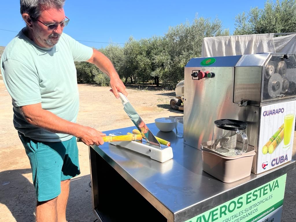 Fotos | Así se elabora el zumo de caña de azúcar en Mallorca