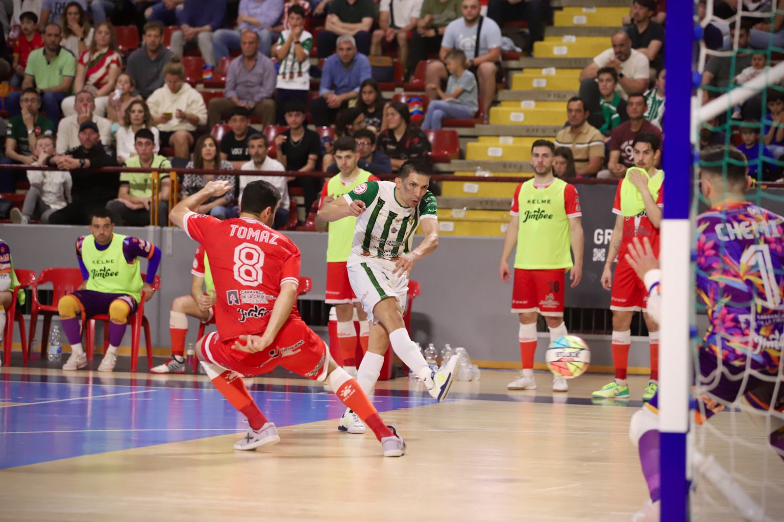 Córdoba Futsal-Jimbee Cartagena: el partido de Vista Alegre en imágenes