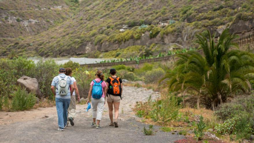 Urbanismo saca a concurso la continuación del sendero peatonal y ciclista por el Guiniguada