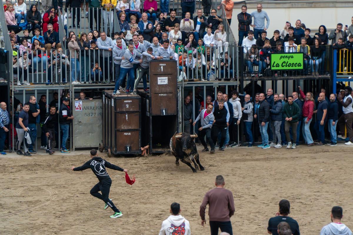 Otra foto de la exhibición taurina del pasado fin de semana.