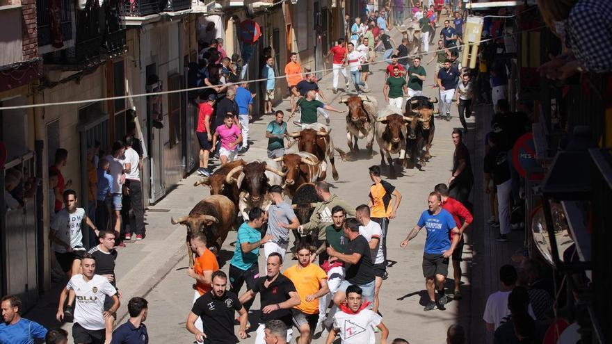 Almassora ficha a Torrehandilla para el encierro de las fiestas de mayo