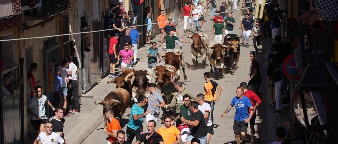 Almassora ficha a Torrehandilla para el encierro de las fiestas de mayo