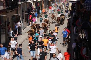 Almassora ficha a Torrehandilla para el encierro de las fiestas de mayo