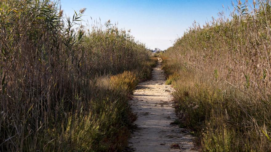 Parque natural del Prat de Cabanes-Torreblanca