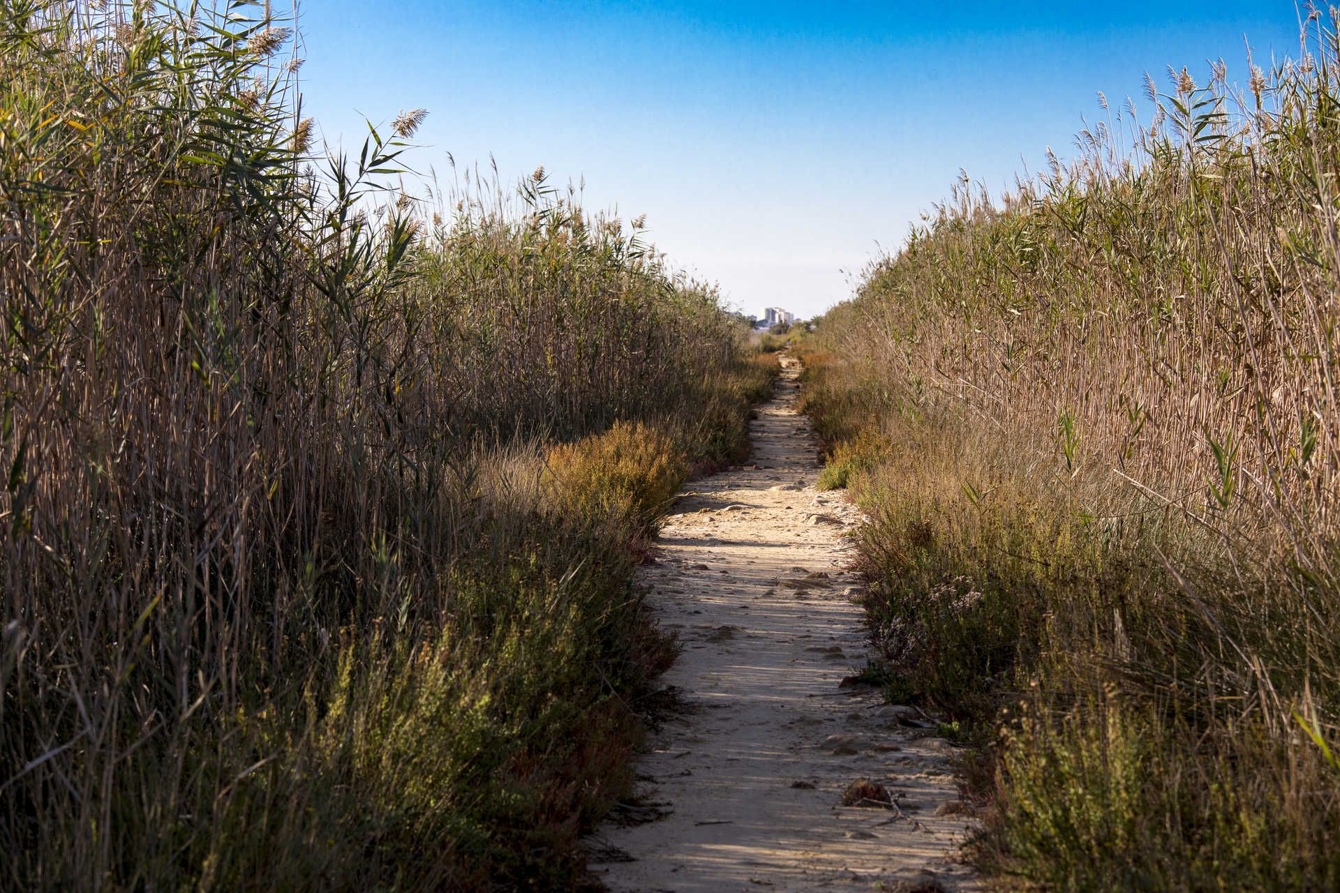 Parque natural del Prat de Cabanes-Torreblanca