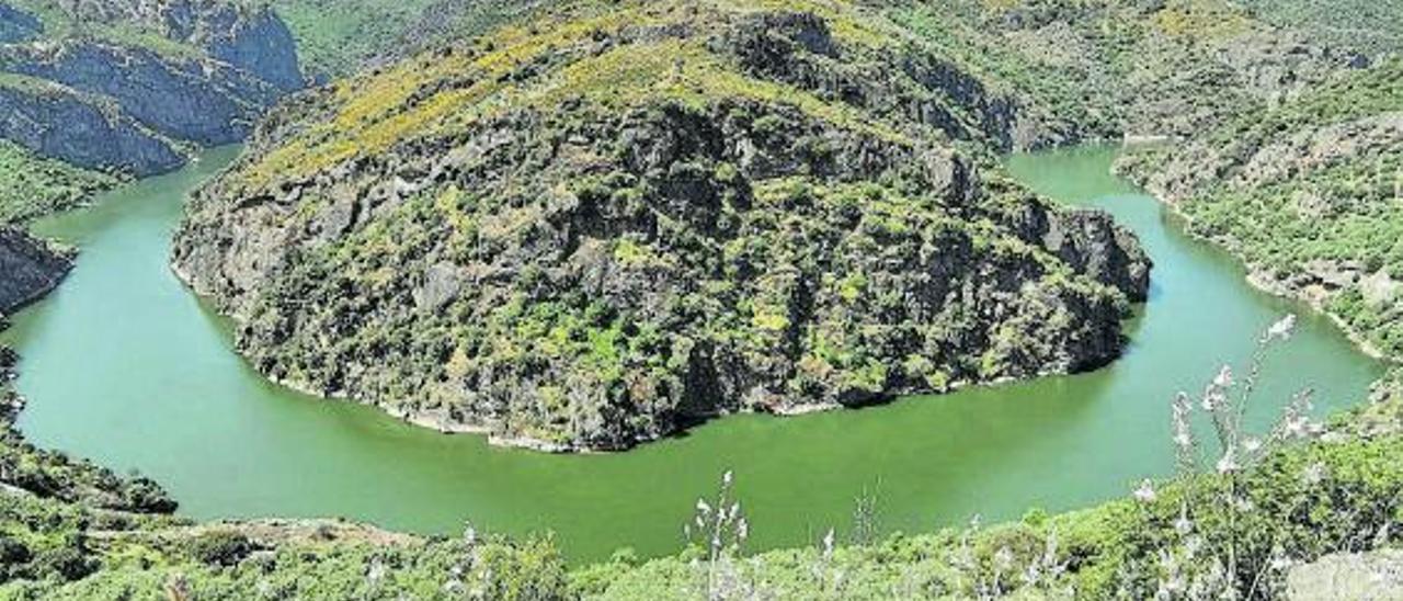 El Duero, a su paso por los Arribes en Zamora, en una imagen de archivo. | M. P. R.