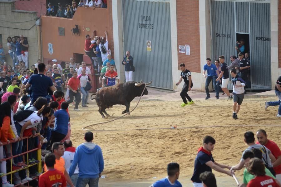 Enmaromado 2016: Así fue el Día Grande en Benavent