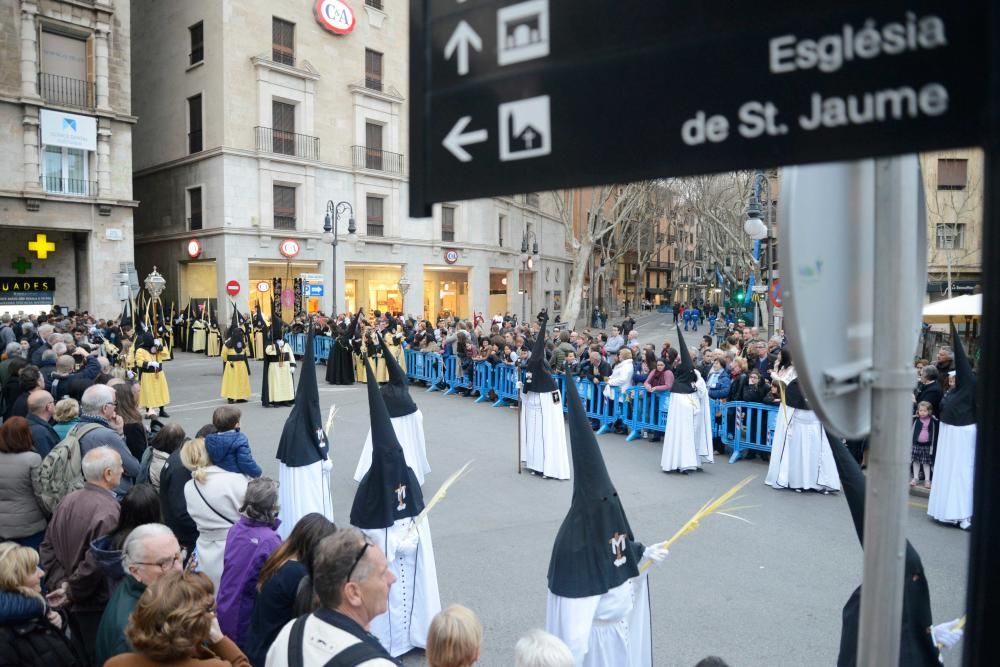 Procesión de Domingo de Ramos