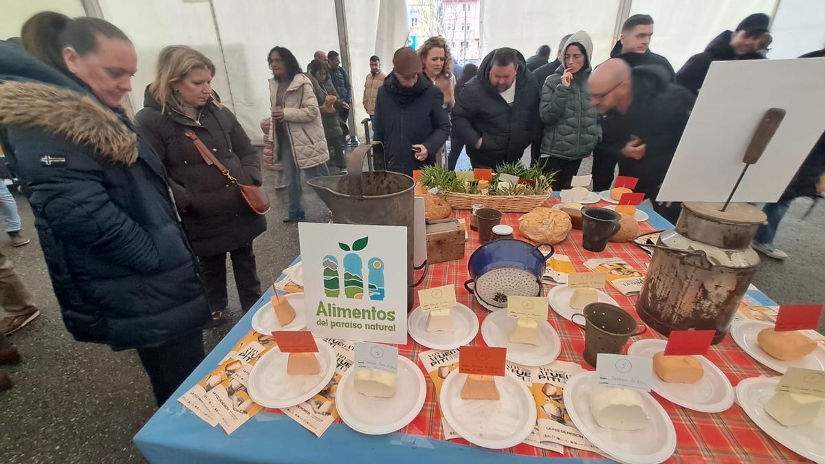 527ce8fb-206f-44e7-a3bb-d8e7755adef5