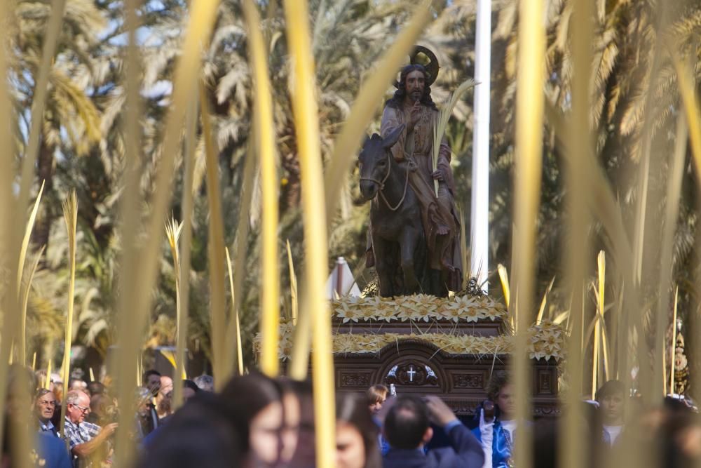 Domingo de Ramos en Elche