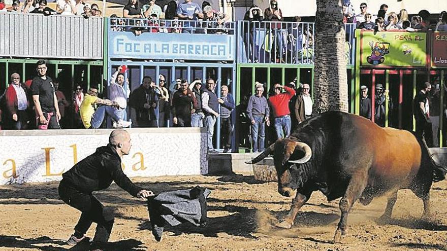 Las celebraciones alcanzan su recta final con el Bou de Pascua