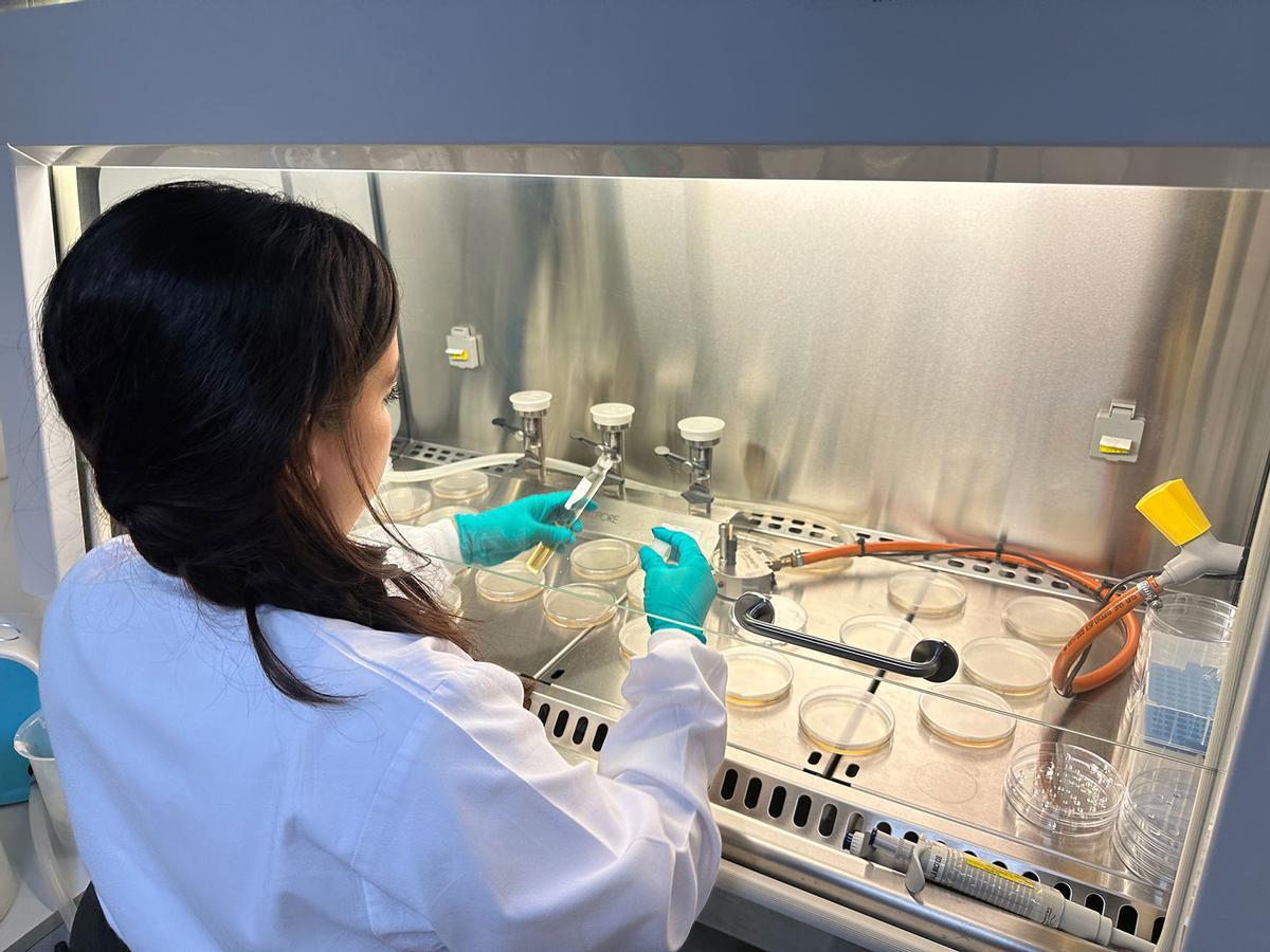 Mantener vivo el hilo azul significa asegurar que el progreso llegue a todos los territorios por igual