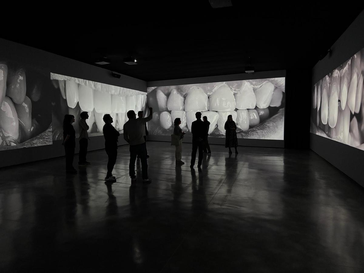 FOTOGALERÍA | La muestra Santiago Sierra en el Museo Helga de Alvear, en imágenes