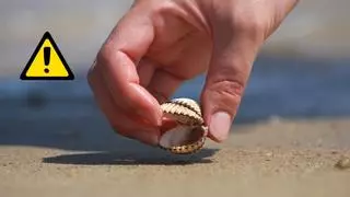 El error más común en las playas españolas te puede costar una multa de hasta 60.000 euros