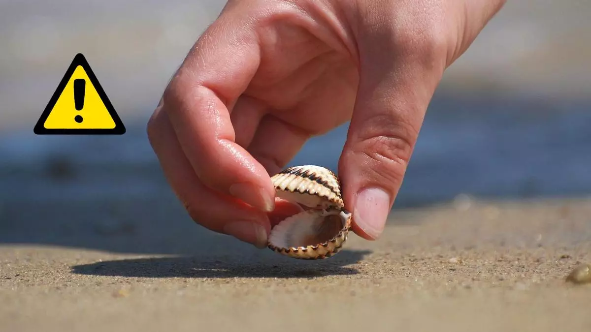 El error ms comn en las playas espa?olas te puede costar una multa de hasta 60.000 euros