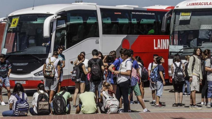 Alumnos de un centro educativo de Torrevieja esperan a subir a los autobuses de transporte escolar municipal, en una imagen de archivo.