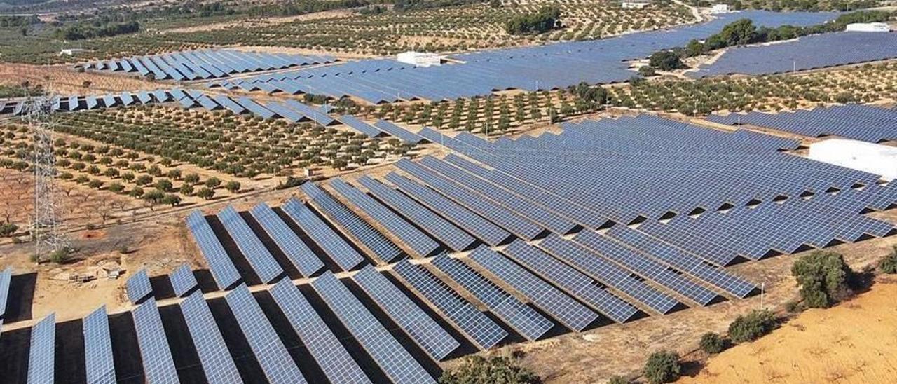 Imagen aérea de una planta fotovoltaica del Alto Vinalopó instalada en una finca arrendada por un agricultor de Beneixama.