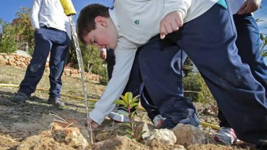 Los escolares reforestan los parajes de Alcoy