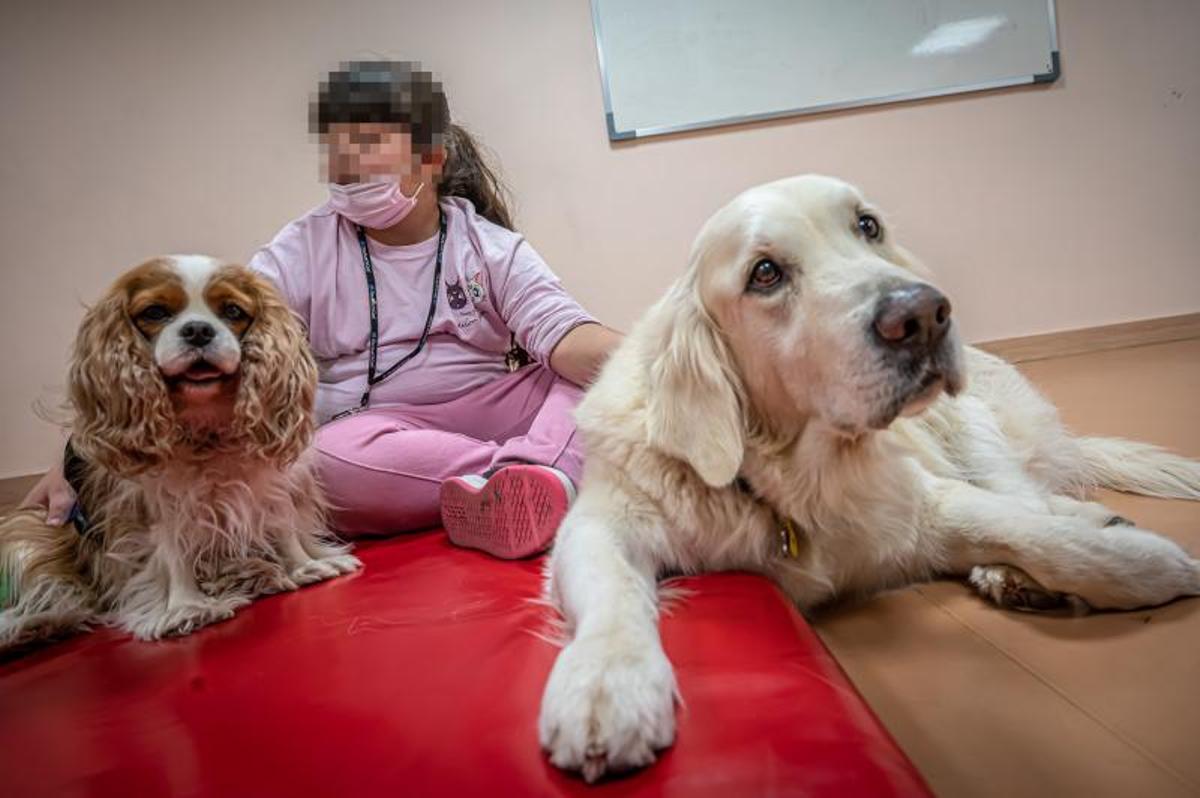 Terapia con perros, en el hospital de día de niños, en el Clínic