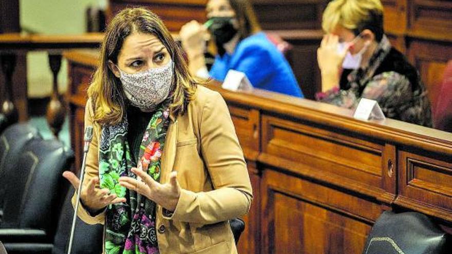 Noemí Santana, consejera de Derechos Sociales, en el Parlamento canario.