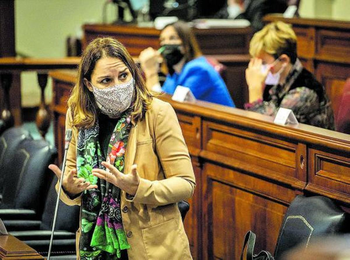 Noemí Santana, consejera de Derechos Sociales, en el Parlamento canario.