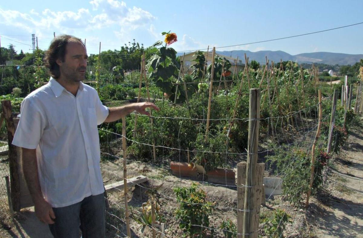 El Consell destituye a Julià Álvaro tras meses de tensiones en Medio Ambiente