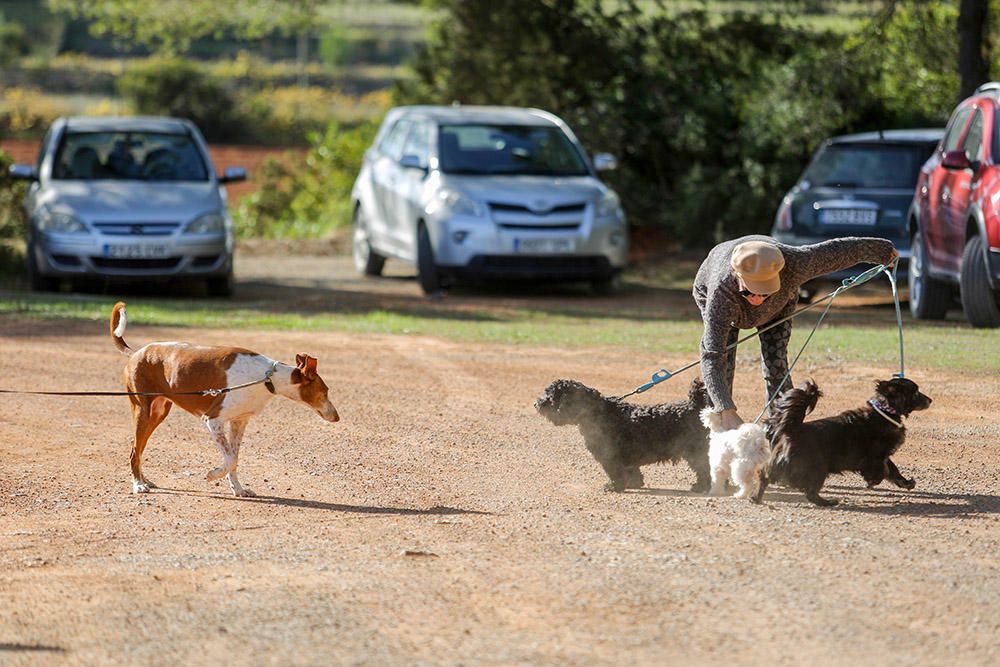 Movilización frente a Can Dog