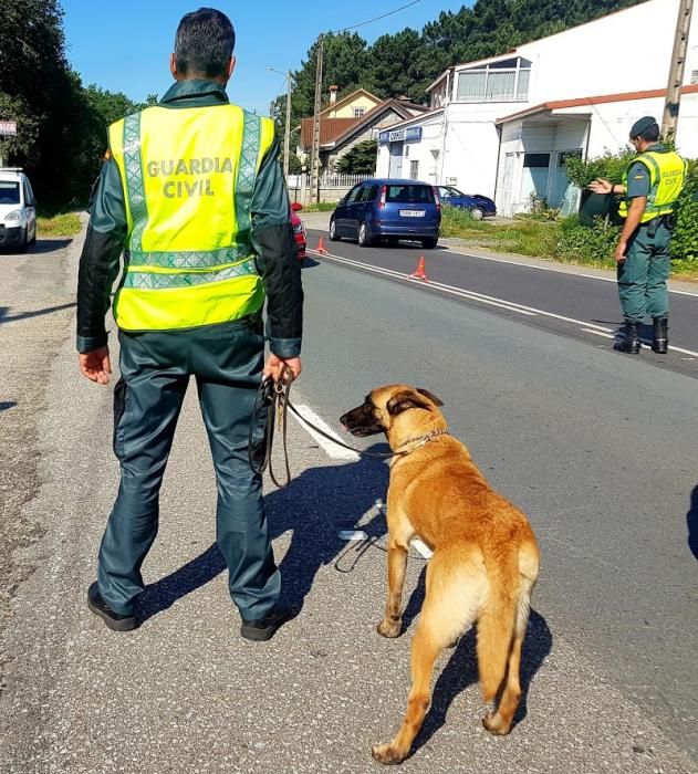 Elecciones Municipales en la comarca