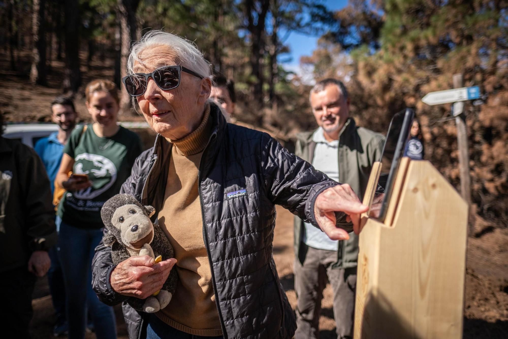 Jane Goodall visita distintos lugares en Tenerife