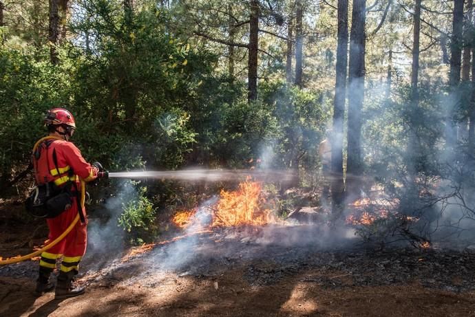 La UME realiza prácticas de prevención de incendios en Gran Canaria